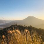 Bali Sunrise, Tirta Empul Temple and Tegalalang Rice Terrace - What’s Included and What’s Not