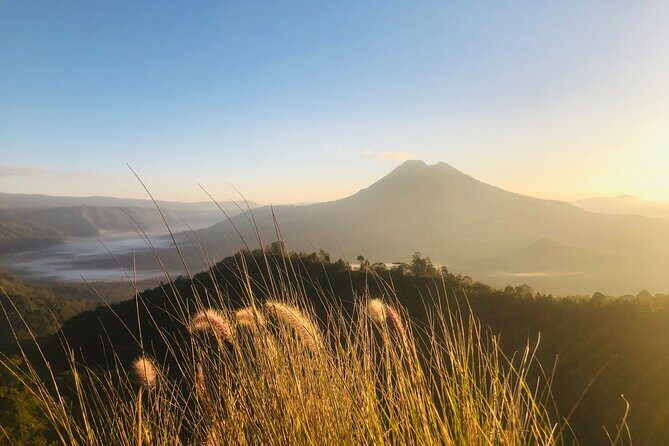 Bali Sunrise, Tirta Empul Temple and Tegalalang Rice Terrace - What’s Included and What’s Not