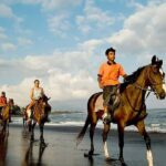 Bali Sunset Horse Ride by the Kedungu Beach - The Sum Up