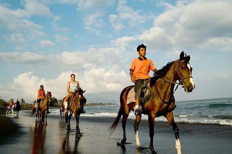 Bali Sunset Horse Ride by the Kedungu Beach - The Sum Up