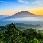 Bali Swing Activities and Kintamani Ubud Tour Packages - Additional Stops & Cultural Highlights