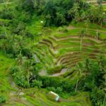 Bali Swing Activity and Ubud Watefall Trip Packages - Additional Stops and Practical Details