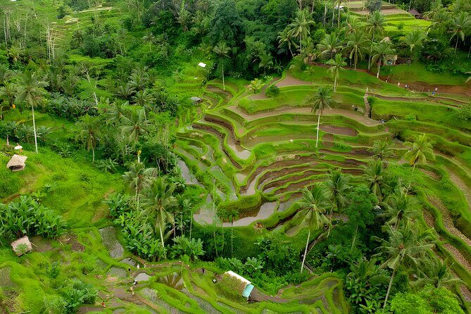 Bali Swing Activity and Ubud Watefall Trip Packages - Additional Stops and Practical Details