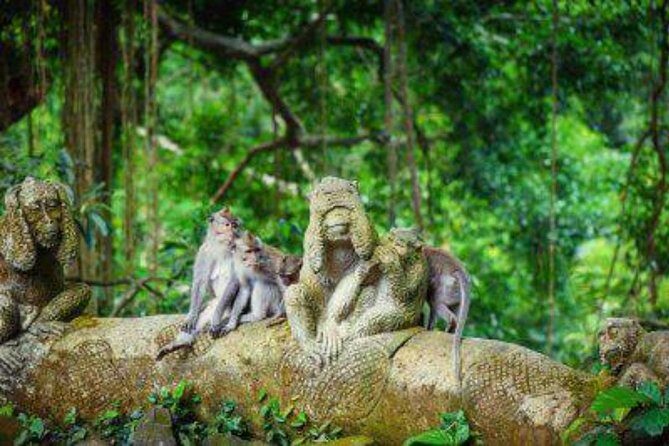 Bali: Swing And Ubud Tour - Pricing and Value