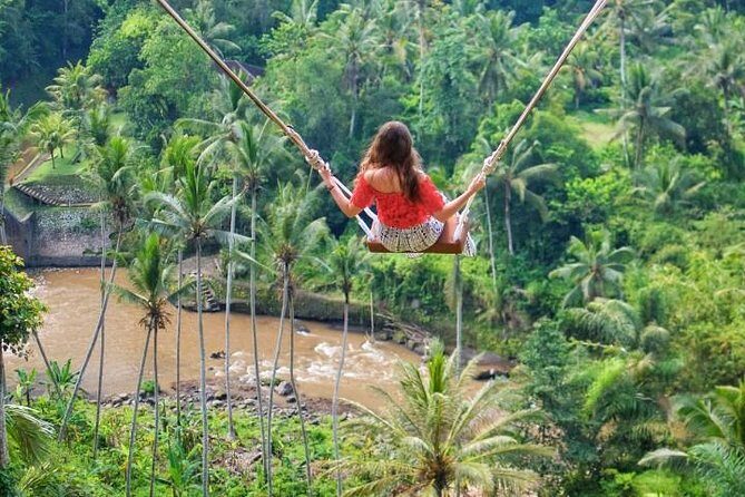 Bali Swing and Waterfall Tour - Key Points