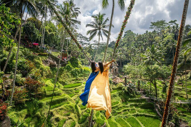 Bali: Swing Heaven, Monkey Forest and Waterfall Guided Tour - Why This Tour Offers Great Value