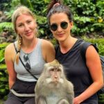 Bali Swing, Monkey Forest and Waterfall - Private Tour - An In-Depth Look at the Tour Itinerary