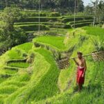 Bali Swing, Monkey Forest & Ubud Waterfalls Tour - Authentic Encounters and Expert Guidance