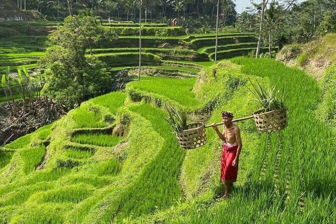 Bali Swing, Monkey Forest & Ubud Waterfalls Tour - Authentic Encounters and Expert Guidance