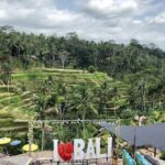 Bali Swing Packages and Kintamani Volcano View - Visiting Tegalalang Rice Terraces