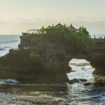 Bali Swing Packages and Tanah Lot Temple Sunset Tour - Who Is This Tour Perfect For?