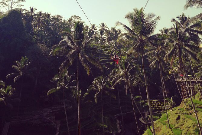 Bali swing, Waterfall, Tanah lot Tour - What’s Included and What’s Not