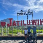 Bali: Tabanan Rice Terraces E-Bike Tour with Breakfast - What Makes This Tour Stand Out?