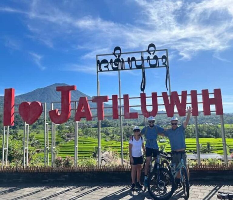 Bali: Tabanan Rice Terraces E-Bike Tour with Breakfast - What Makes This Tour Stand Out?