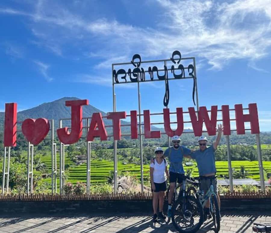 Bali: Tabanan Rice Terraces E-Bike Tour with Breakfast - What Makes This Tour Stand Out?