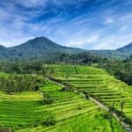 Bali: Taman Ayun, Jatiluwih, Ulun Danu, and Monkey Forest - Exploring Bali’s Temples and Rice Fields: A Deep Dive