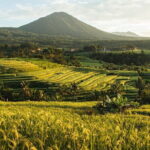 Bali Tanah Lot, Jatiluwih Rice Terraces, and Ulun Danu Beratan - Handara Iconic Gate: A Photo Must-See