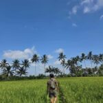 Bali: Taro Village Trek with Rice Terraces and Vegan Feast - Practical Insights and Tips