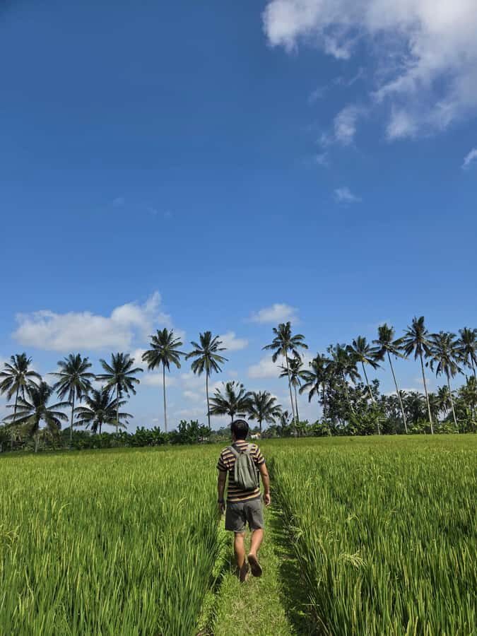 Bali: Taro Village Trek with Rice Terraces and Vegan Feast - Practical Insights and Tips