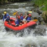 Bali Telaga Waja White Water Rafting Adventure - Who Is This Tour Perfect For?