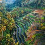 Bali: Temple, Waterfall, and Rice Terrace Private Tour - The Majestic Rice Terraces: UNESCO-Recognized Beauty