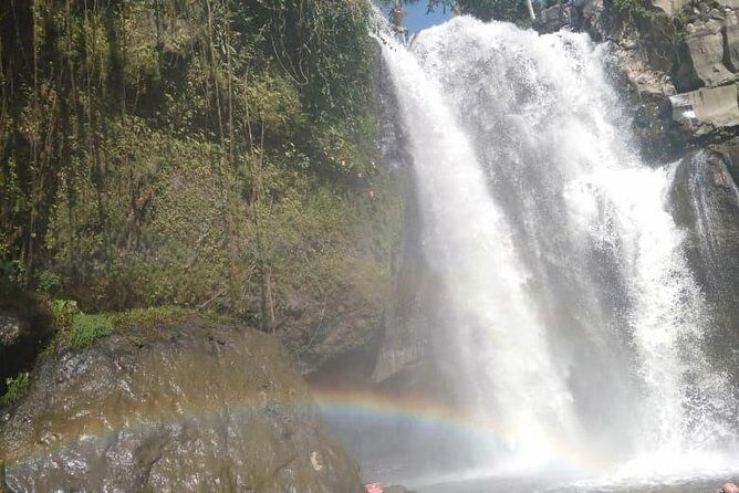 Bali Tour: Ubud Most Popular Place - FAQs