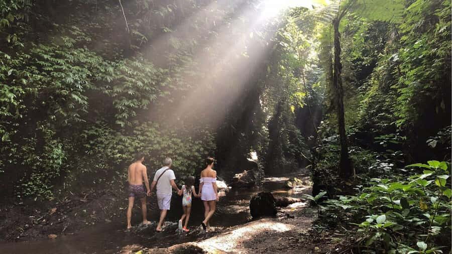 Bali: Tukad Cepung Waterfall, Besakih Temple & Tirta Gangga - The Sum Up
