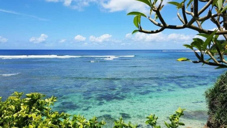 Bali: Turtle Conservation, Beach and Uluwatu Tour - Variations and Customization