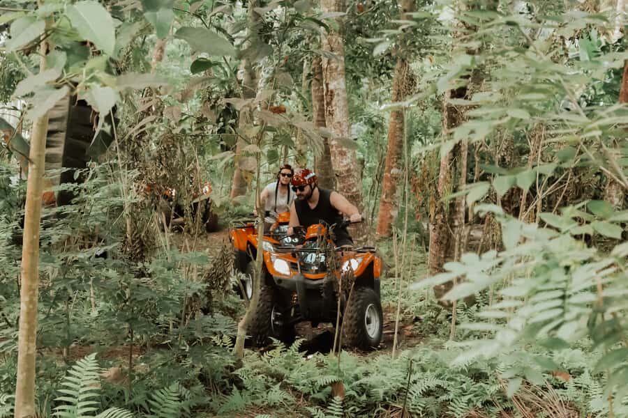 Bali: Ubud Atv Quad Bike With Lunch - Who Would Love This Experience?