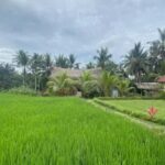 Bali: Ubud Culture and Adventure Tour with Waterfall - The Hidden Waterfall: Tegenungan