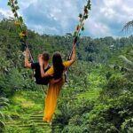 Bali: Ubud Day Tour with Swing and Zipline - Transportation & Overall Experience