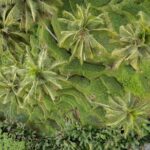 Bali Ubud : Full or Half Day Private Adventure Tour - The Sum Up