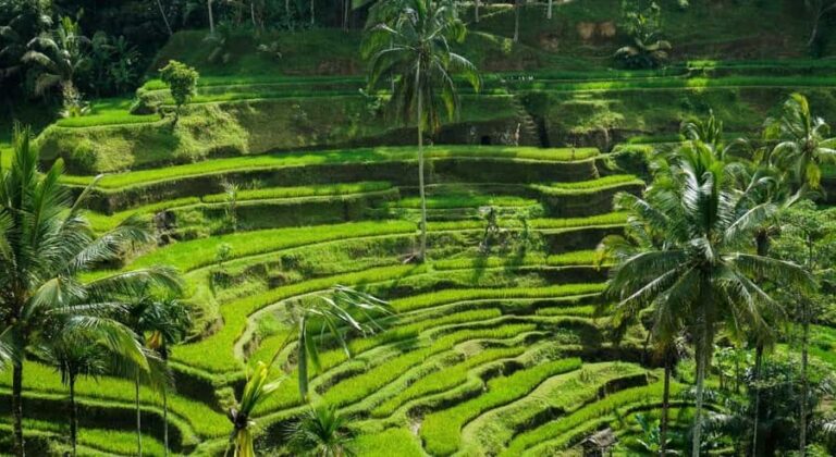 Bali: Ubud Highlight Tour With Flexible Itinerary Options - FAQ
