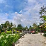 Bali: Ubud, Monkey Forest, Ancient Temple, Waterfalls - The Value of a Guided Day Out