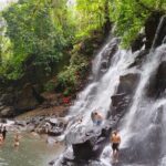 Bali: Ubud Rice terrace, water temple, and waterfall Tour - What’s Included and What You Should Know