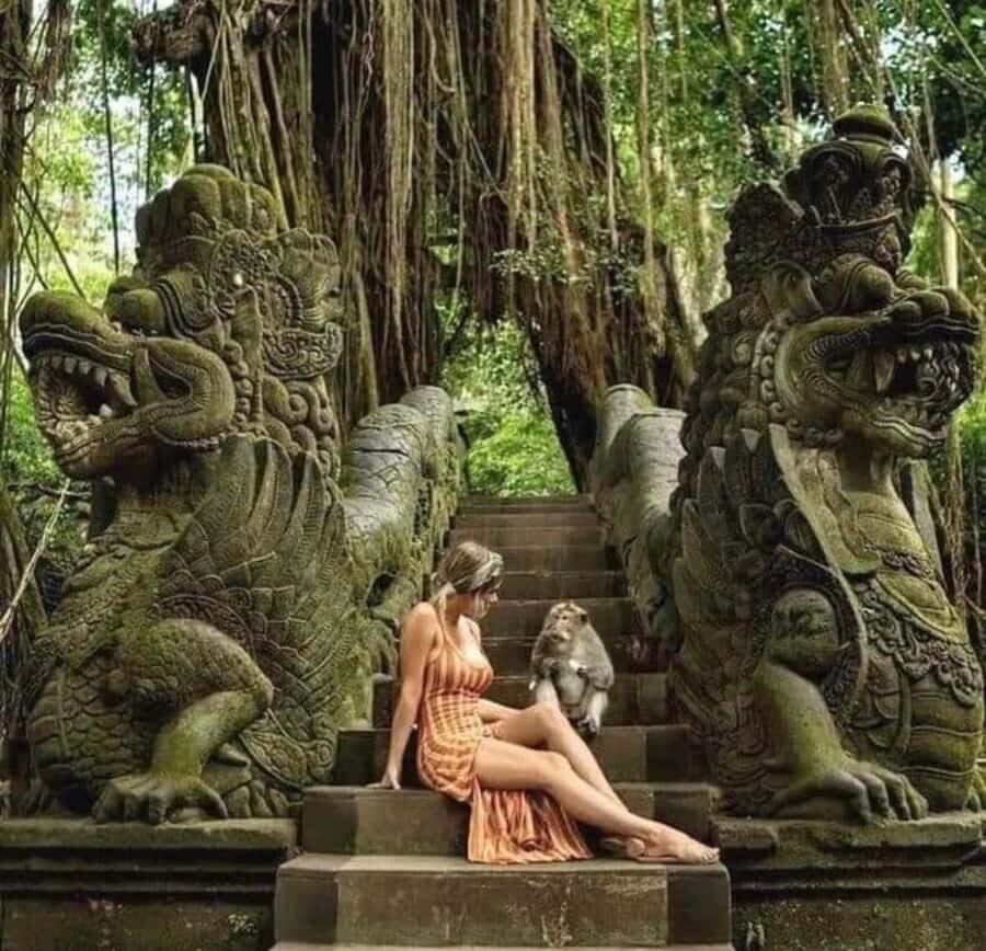 Bali: Ubud Tour with Tirta Empul, Rice Terrace & Waterfall - Scenic Walks at Tegalalang Rice Terrace