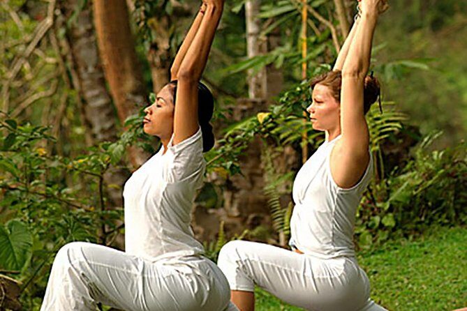 Bali Ubud Yoga Class - A Closer Look at the Bali Ubud Yoga Class
