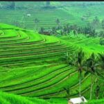 Bali: Unesco Tour with Batur Karu Temple & Jatiluwih - Detailed Breakdown of the Itinerary