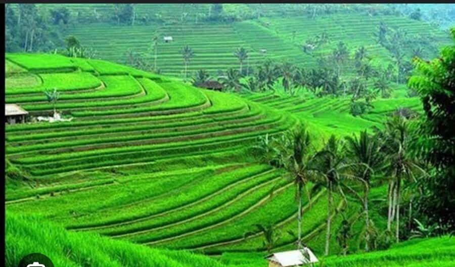 Bali: Unesco Tour with Batur Karu Temple & Jatiluwih - Detailed Breakdown of the Itinerary