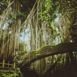 Bali UTV Jungle Adventure with Sacred Monkey Forest and Swing - What to Expect and Why It Matters