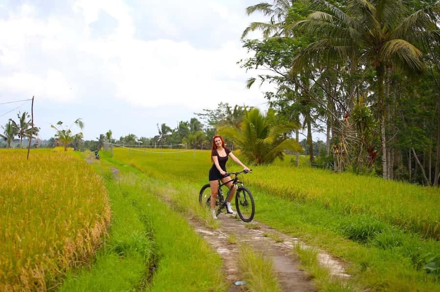 Bali: Village Cycling, Farm Tour & River Tubing in Ubud area - Why This Tour Offers Great Value