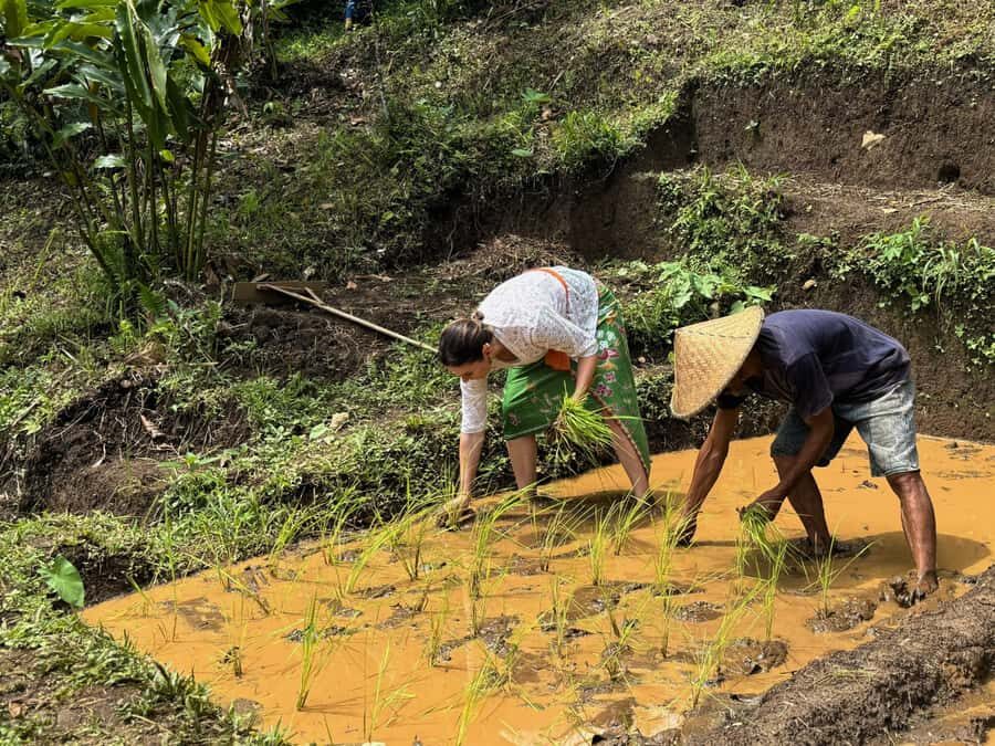 Bali Village Sunset Experience  Jamu, Local Sweets & Dinner - Baking Balinese Sweets with a Local Chef