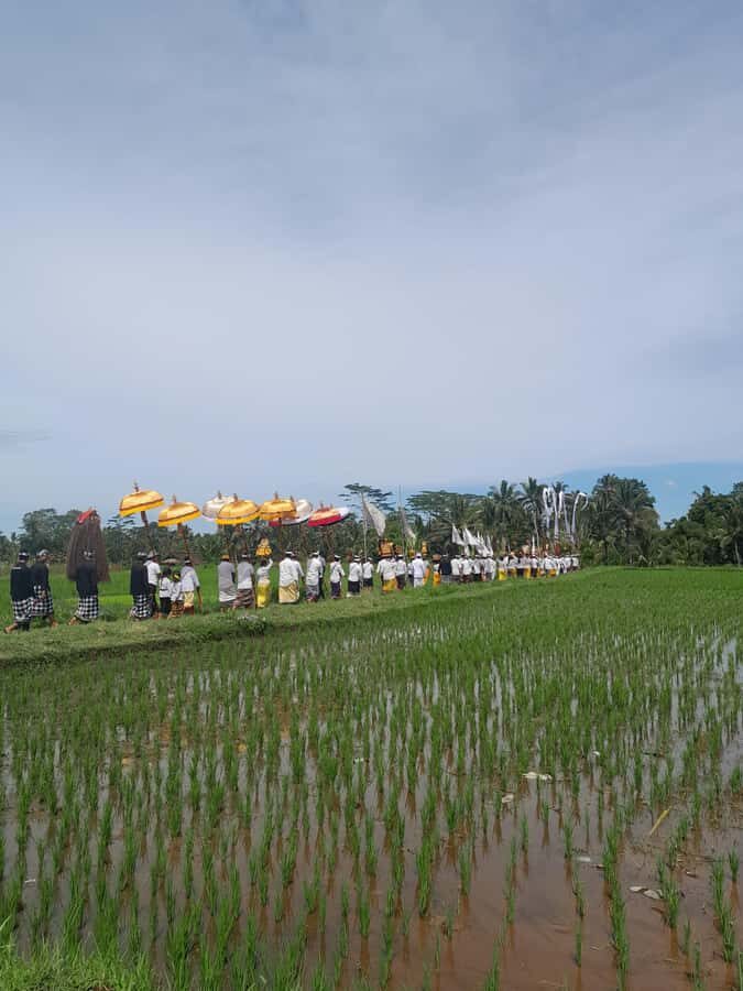 Bali: Village Tour with Coconut Oil and Chocolate Factory - Overview of the Experience