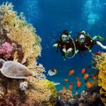 Bali Vip: Sea Walker Under Water Experience - The Itinerary and Key Moments