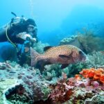 Bali Water Sport Packages in Tanjung Benoa Nusa Dua - Who Is This Tour Best For?