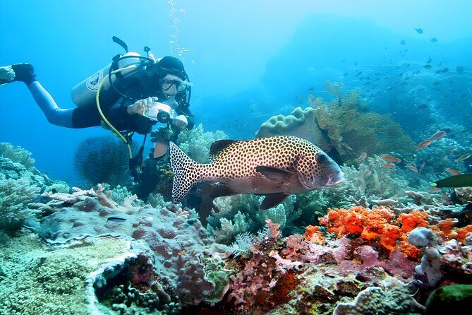 Bali Water Sport Packages in Tanjung Benoa Nusa Dua - Who Is This Tour Best For?