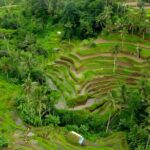 Bali Water Sports and Rafting Packages - Who Is This Tour Best For?