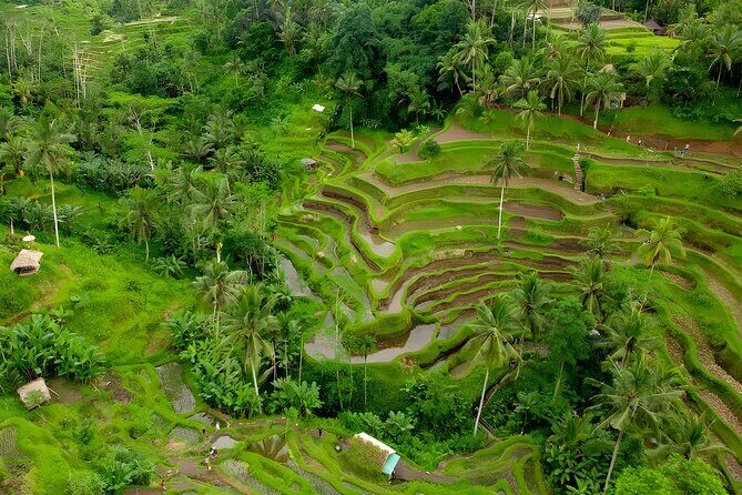 Bali Water Sports and Rafting Packages - Who Is This Tour Best For?