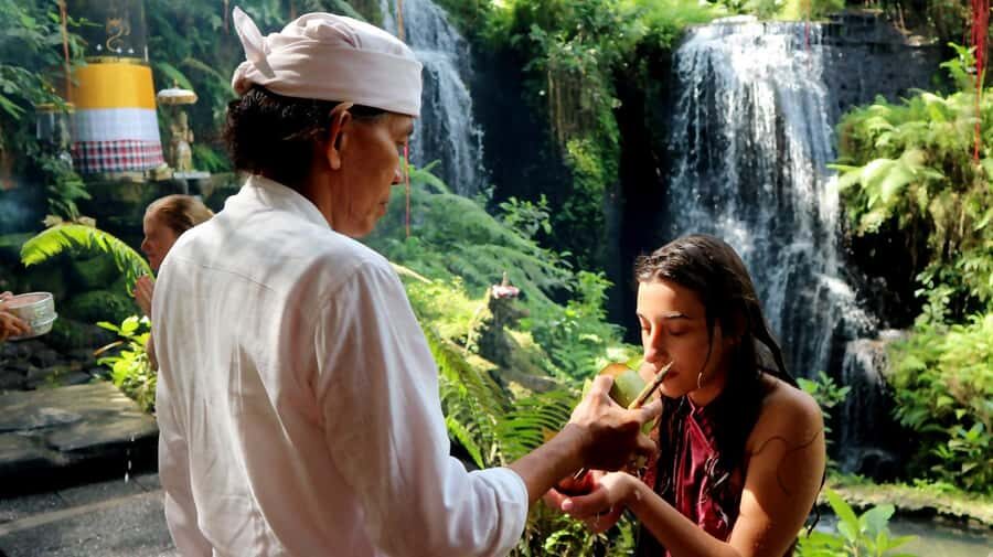 Bali: Waterfall Purification Ritual and Coffee Tour - Who Would Love This Tour?