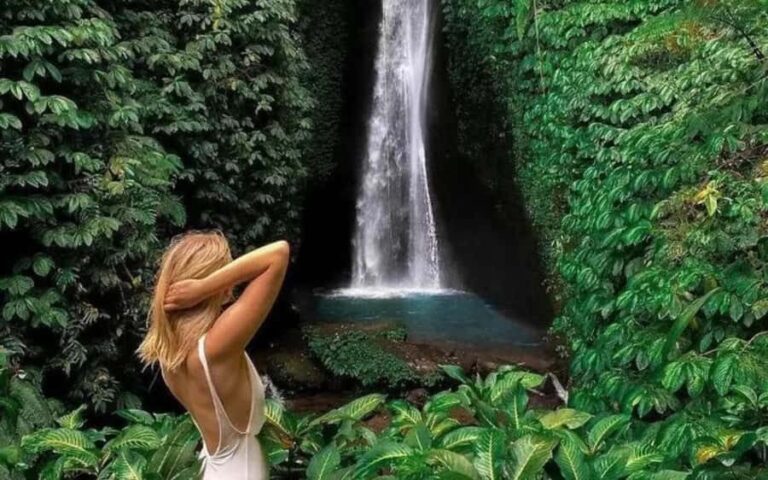 Bali: Waterfall, Rice Terraces, Temples and Sun-Set Day Tour - The Practicalities: What You Need to Know